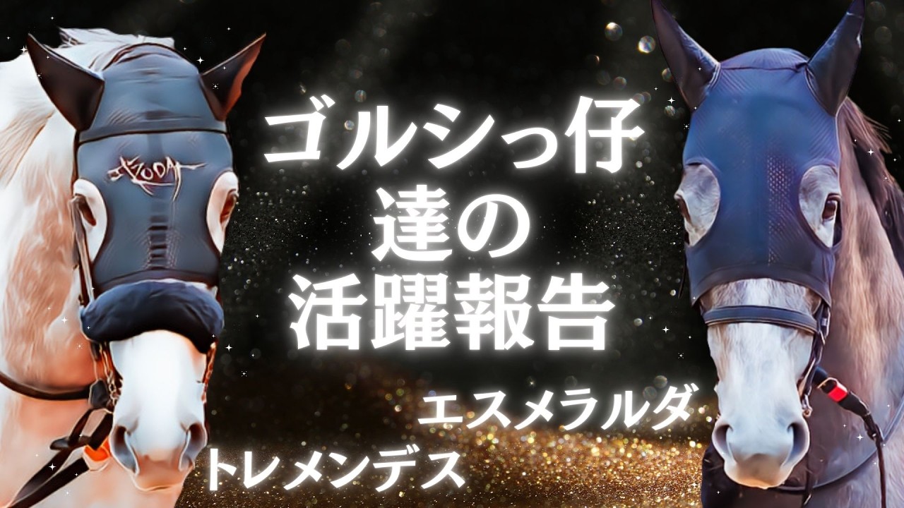 ゴルシっ仔達の活躍報告 #ゴールドシップ産駒 #競馬 #ゴルシ