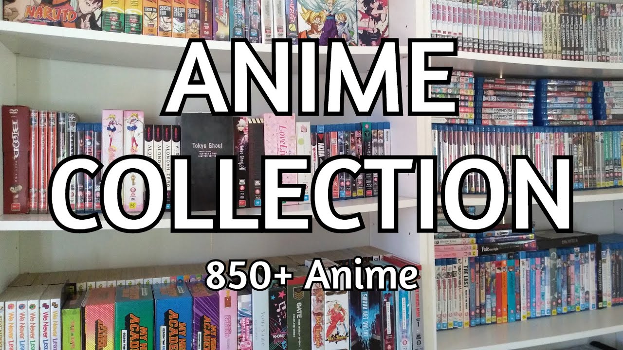 My Anime Collection Tour | 850+ DVD & Blu-Ray 2021