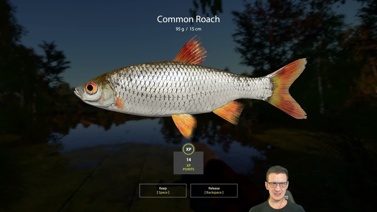 Russian Fishing 4 New Player Guide 2024 P9 Upgrading Lacerti Reels