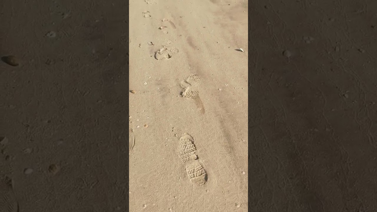 Footprints in the Sand