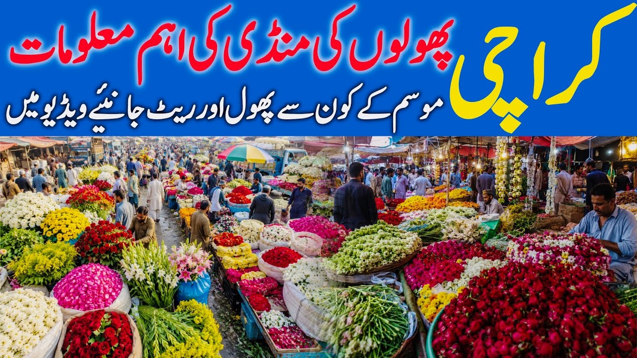 Karachi Phool Mandi update || Karachi flower Market update || Home Decor | Teen Hatti Flowers market