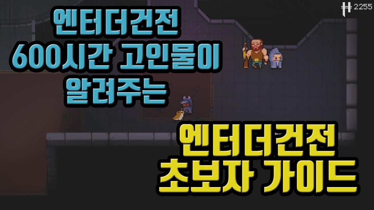 엔터더건전 고인물의 초보자 가이드