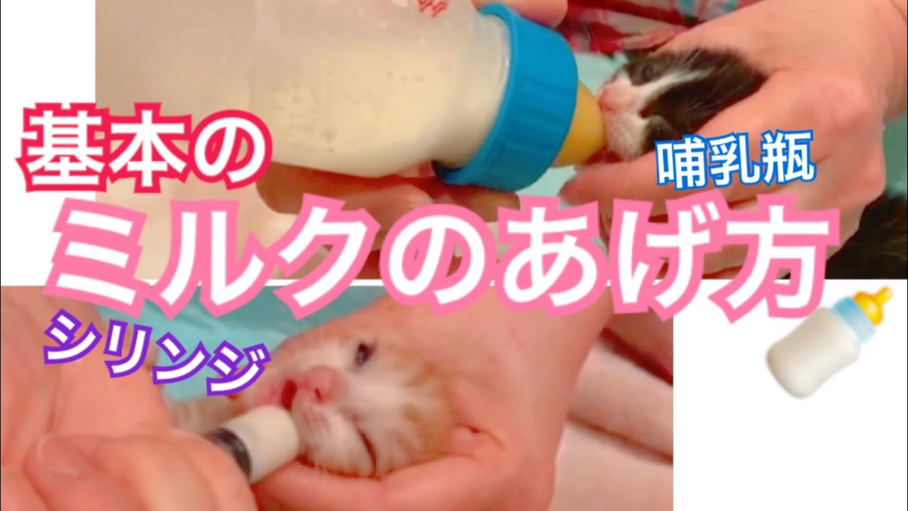 ミルクのあげ方【哺乳瓶&シリンジ】