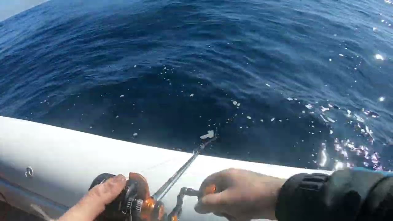 Slow jigging &mu;&epsilon; Sakura Shukan &tau;&sigma;&alpha;&omicron;ύ&sigma;&iota; &sigma;&tau;&eta;&nu; &alpha;&nu;ά&kappa;&tau;&eta;&sigma;&eta;!!!!