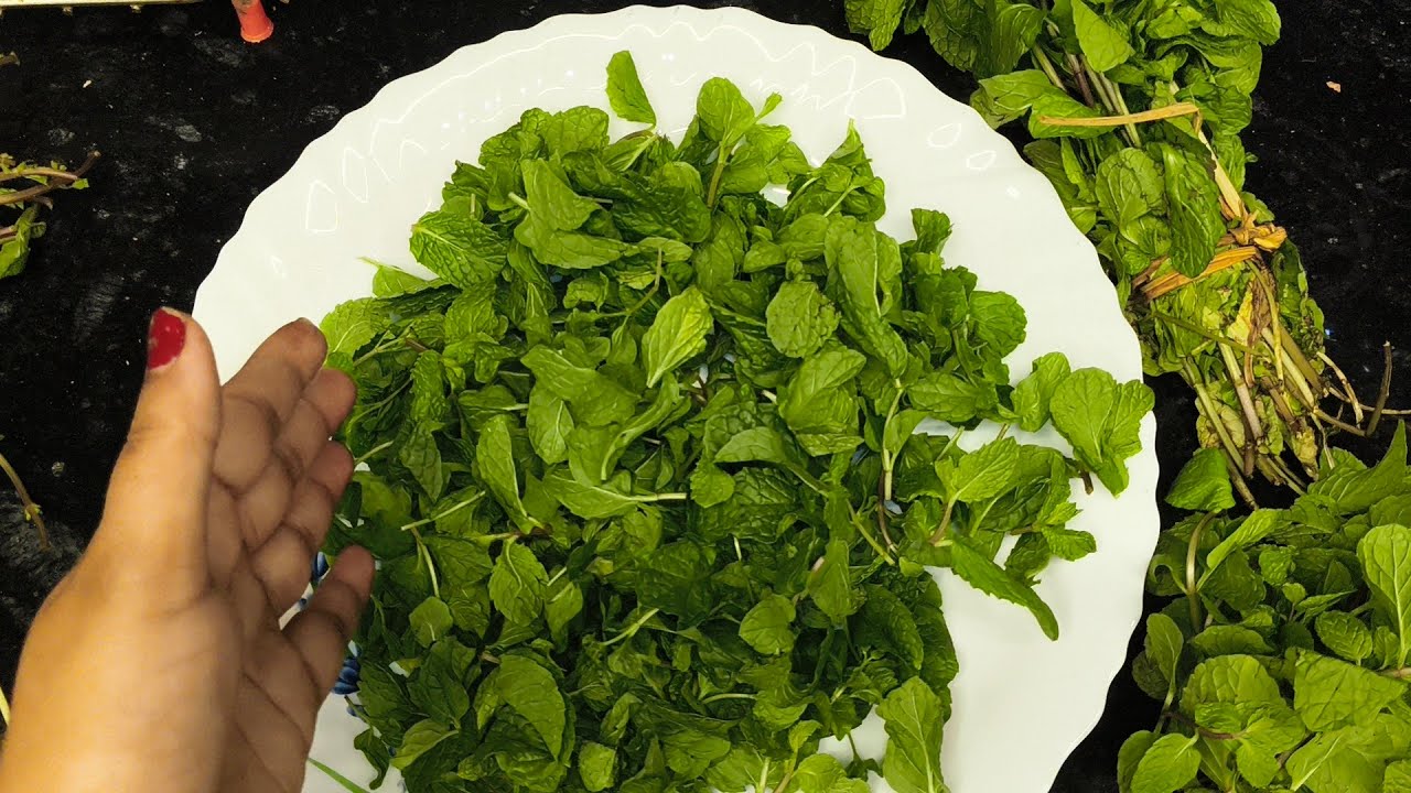 पुदीना पते को ज्यादा दिन तक कैसे स्टोर करे दो ट्रिक में करे #घरेलू उपाय @lipikitchenfood