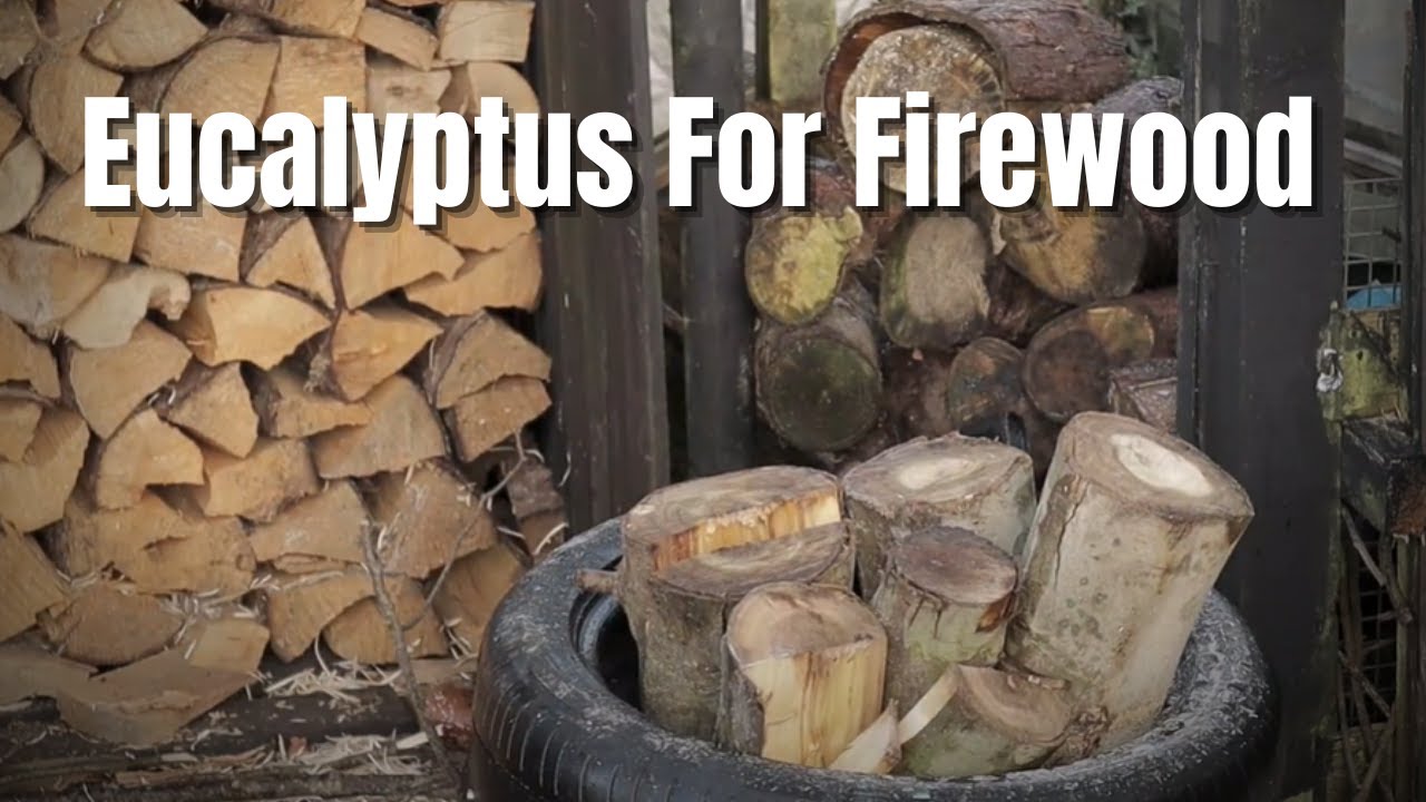Splitting Eucalyptus  Firewood For Winter 2025 - Hulatfors Splitting Sledge -Moisture Meter Tips