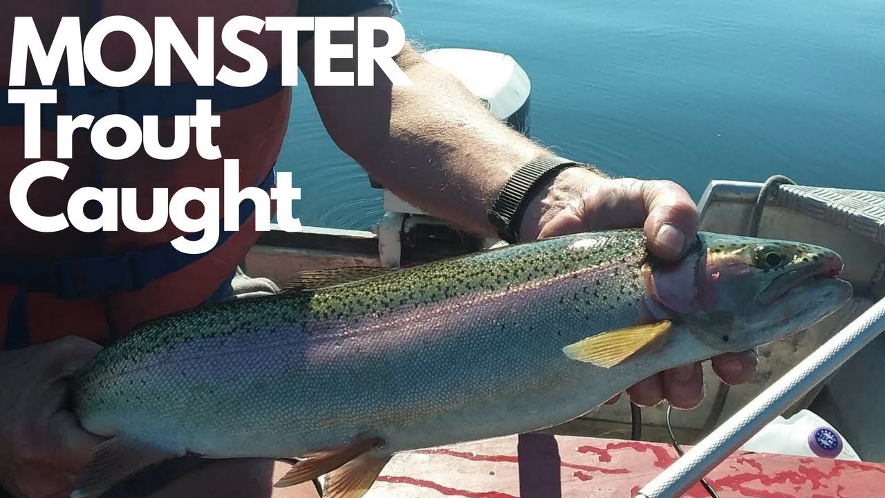 MONSTER TROUT CAUGHT ON CAMERA!! How To Fish Mid Summer