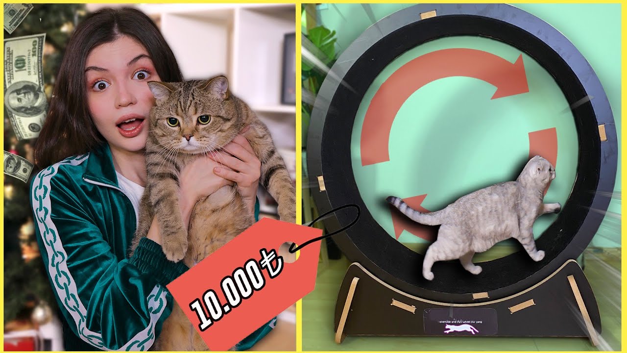 EN PAHALI KEDİ ÜRÜNLERİNİ TEST ETTİM 2 (Kedi Koşu Bandı, Kameralı Mama Kabı...)