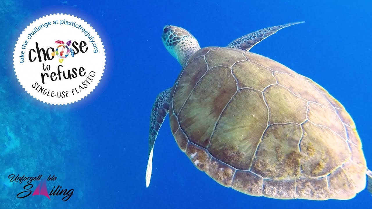 US AGAINST THE PLASTIC: July Free Plastic Challenge - Unforgettable Sailing