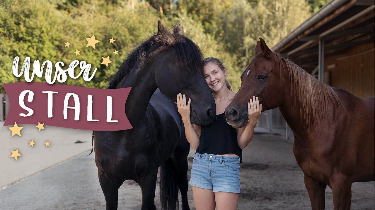 STALLRUNDGANG 🏡 Komm mit durch unseren Offenstall | Pilsali