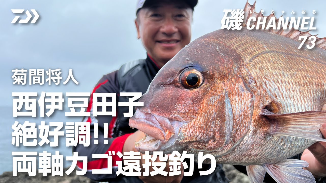 菊間将人「西伊豆田子 絶好調!! 両軸カゴ遠投釣り」｜第73回磯ちゃんねる