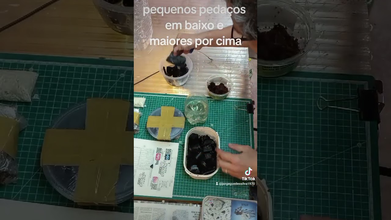 receber cultura de colembolos. o que fazer?