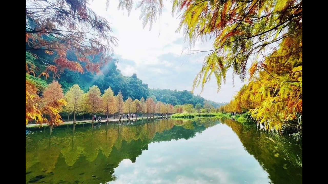 清晨醒來，先別急著思考世界的複雜。慢慢呼吸讓情緒回到身體。當你放鬆下來，磁場自然變得穩定而清澈。今天不需要證明什麼，你的存在本身，就已經在吸引對的人、對的事，悄悄靠近你。relaxing muaic.