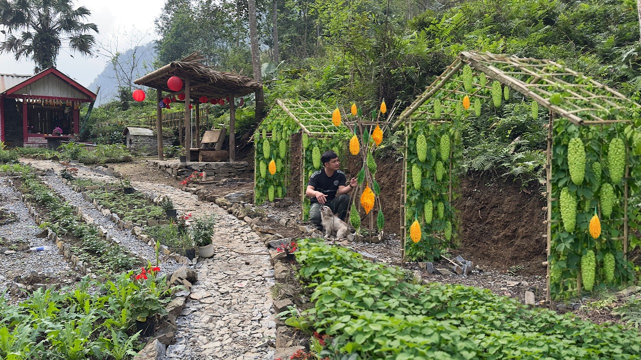 A CEO’s Day in the Garden – Building a Bitter Melon Trellis and Harvesting Fresh Vegetables