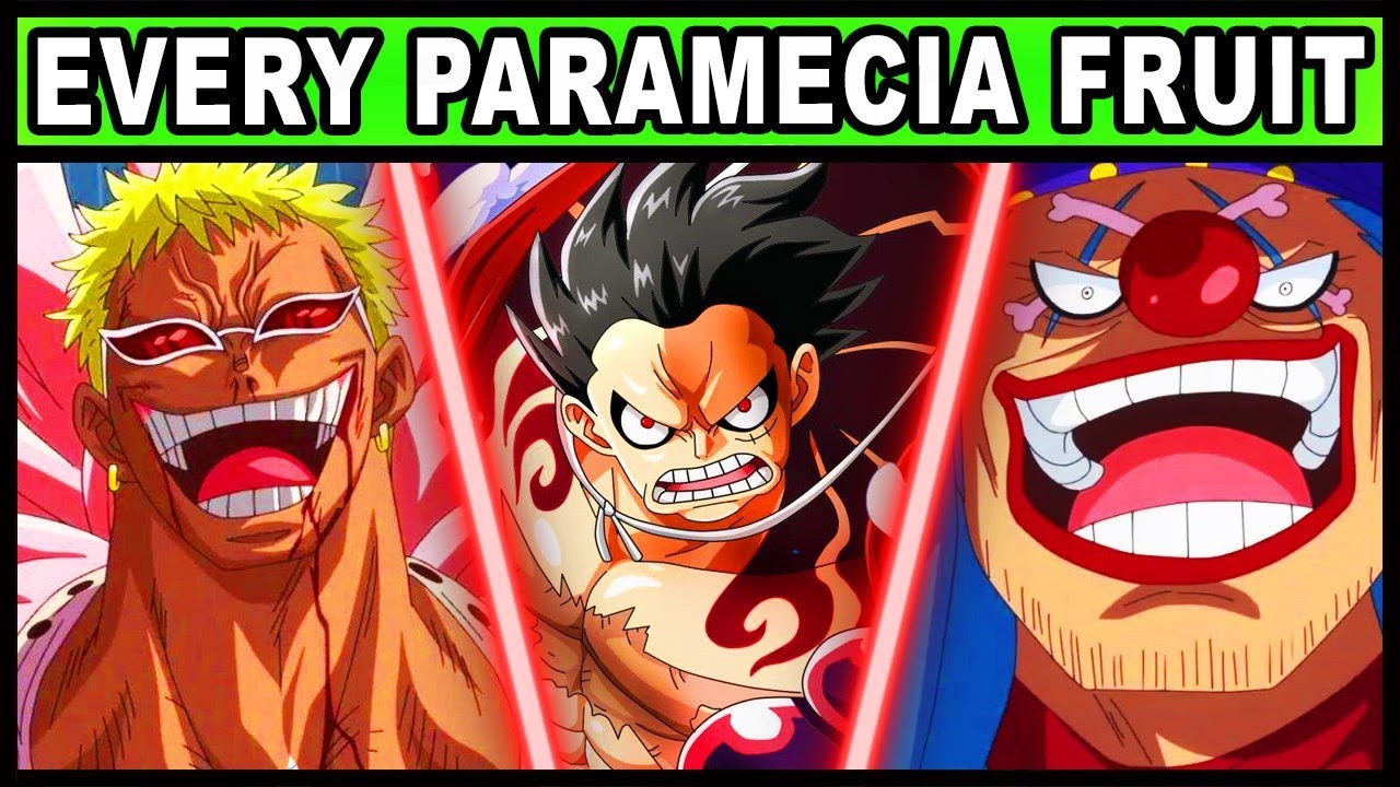 All Paramecia Users and Their Powers Explained! (One Piece Every Devil Fruit)