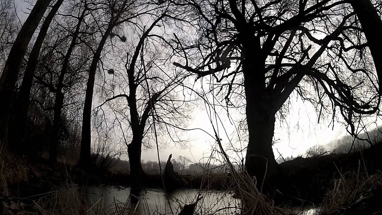 Secret pond