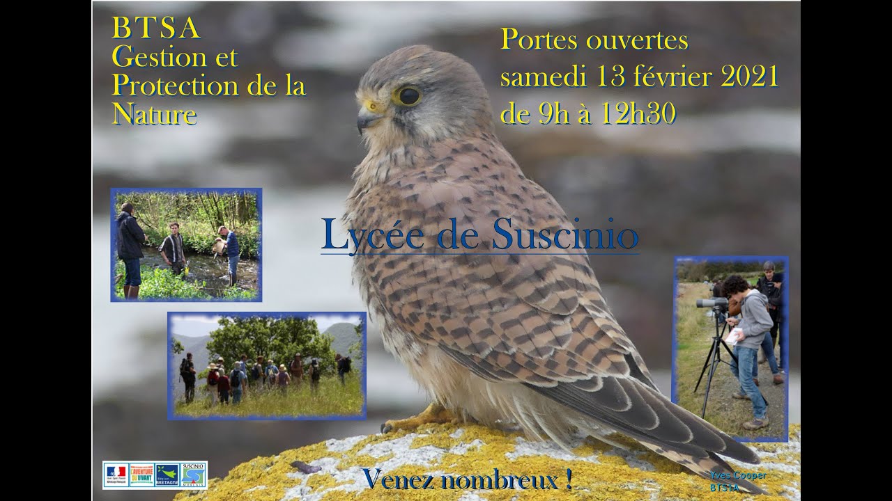 Production d'affiches par les étudiants BTS GPN 1ère année