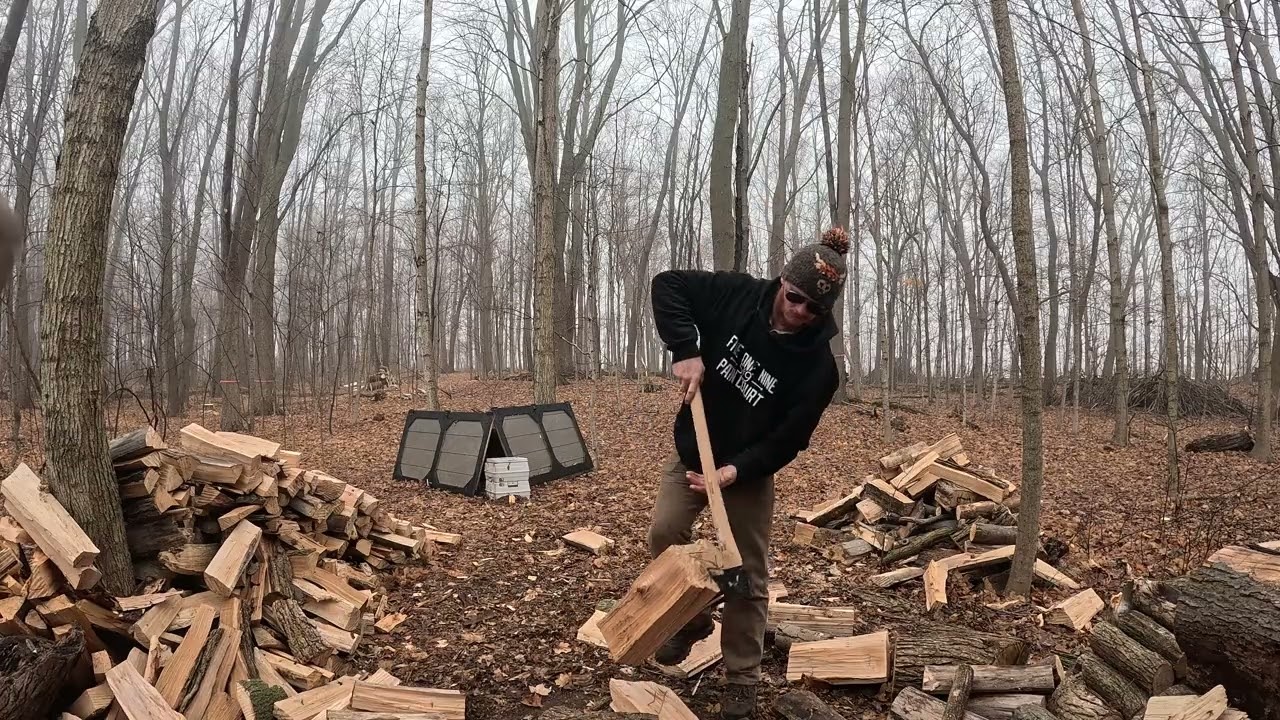 Daily Firewood: Day 37