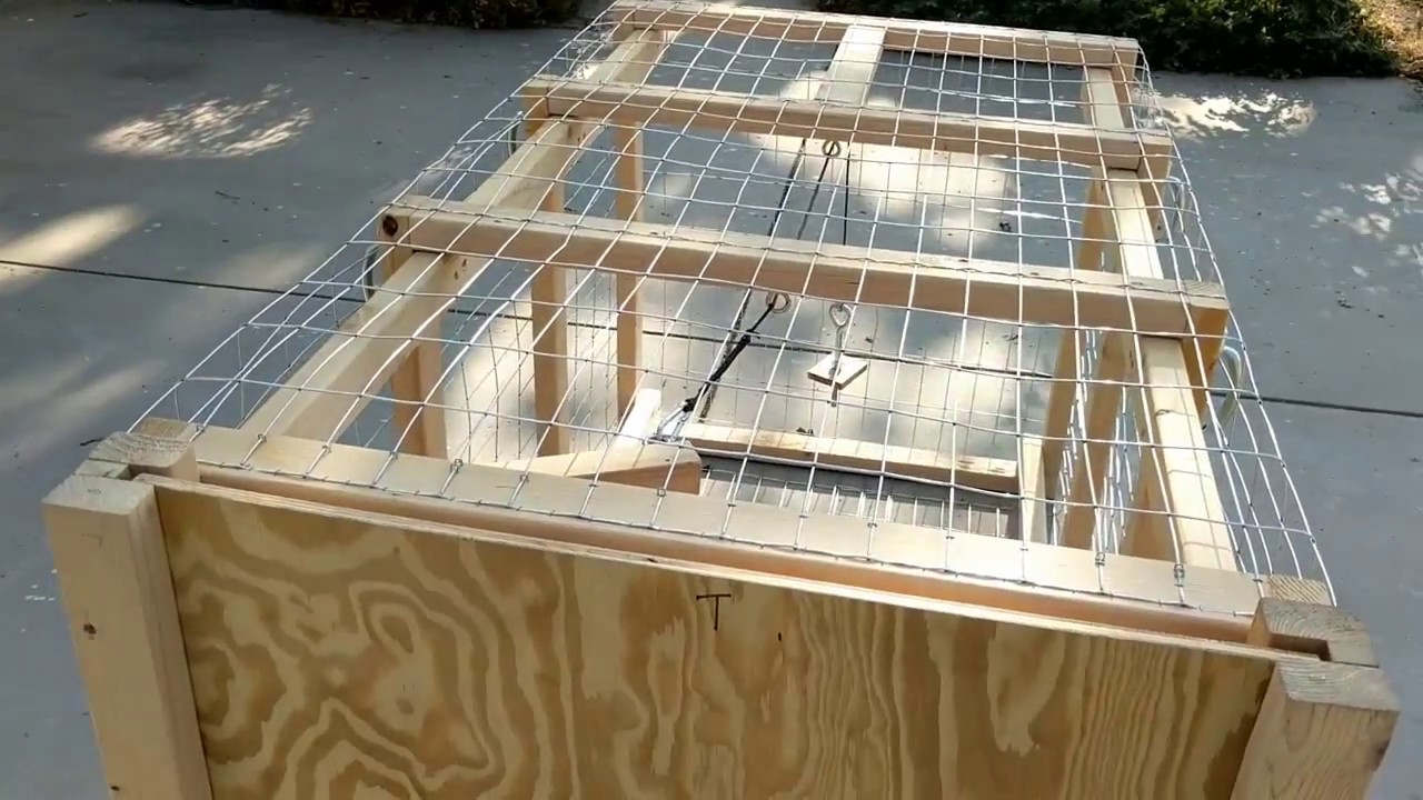 How to Build a Dog Trap