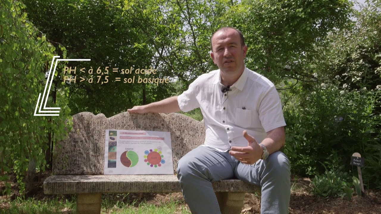 L'importance de la teneur en calcium d'un sol, quel rôle le calcaire joue t-il ?