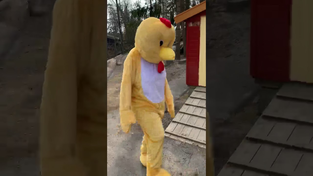 Påskeharen og påskekyllingen dag 4