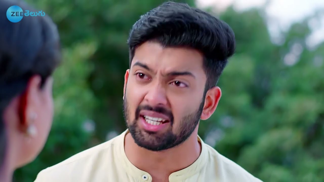 Vaidehi Parinayam - Telugu TV Serial- Full Ep 287 - Pavan Ravindra And Yukta Malnad - Zee Telugu