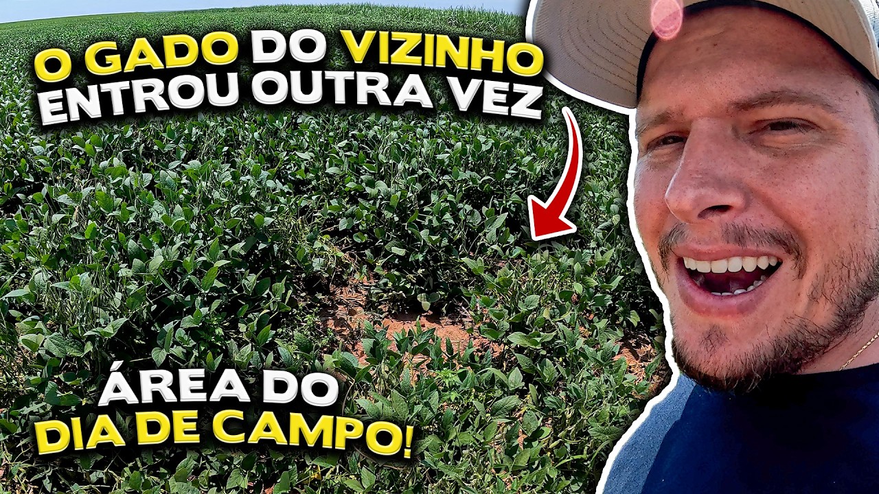 GADO QUIZ ESTRAGAR O NOSSO DIA DE CAMPO