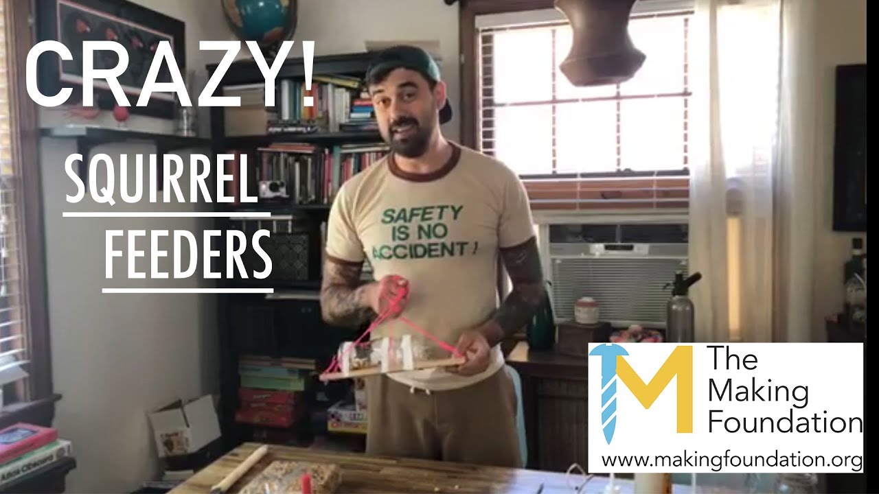 #MakeTheMost - Crazy Squirrel Feeders!