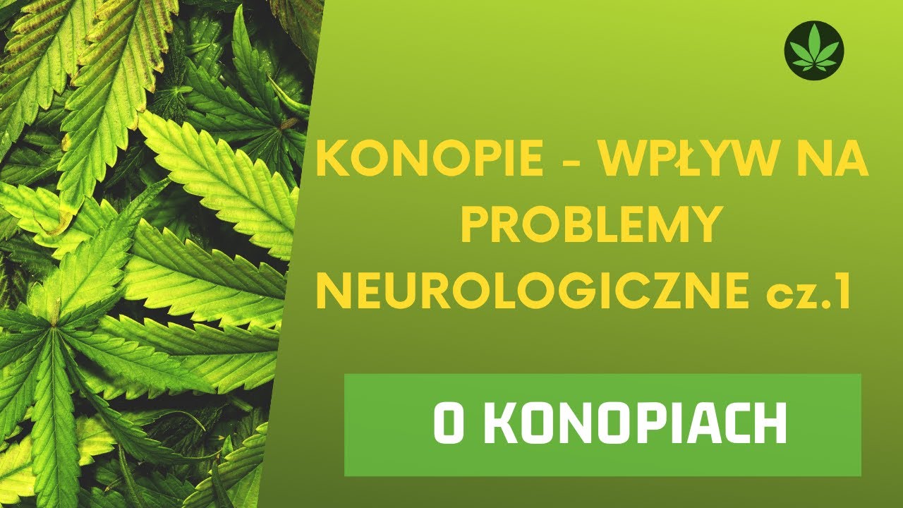 Konopie - wpływ na problemy neurologiczne - WYKŁAD Jolanta R&oacute;życka część I: og&oacute;lnie o konopiach
