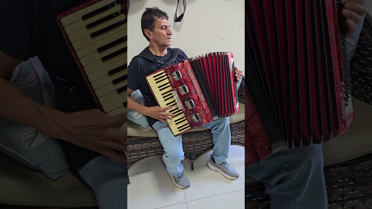 (12.000,00) Acordeon 120 Baixos Todeschini Artist 4