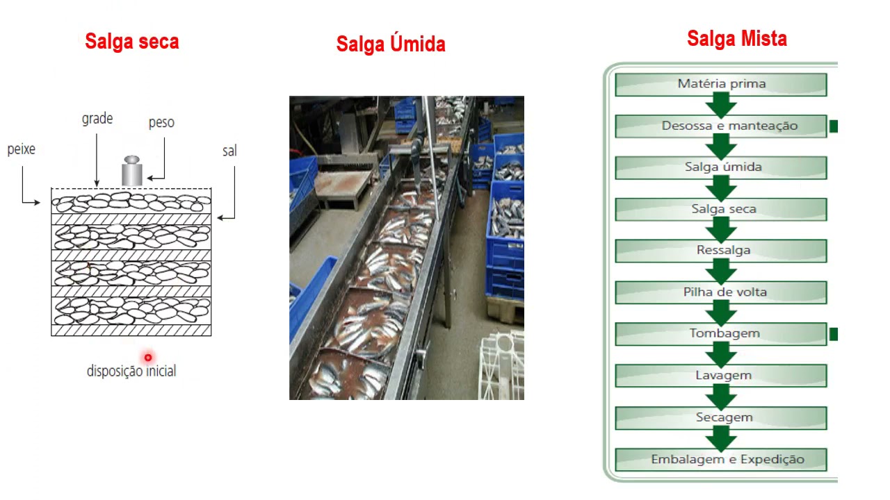 Salga E Defumação 1