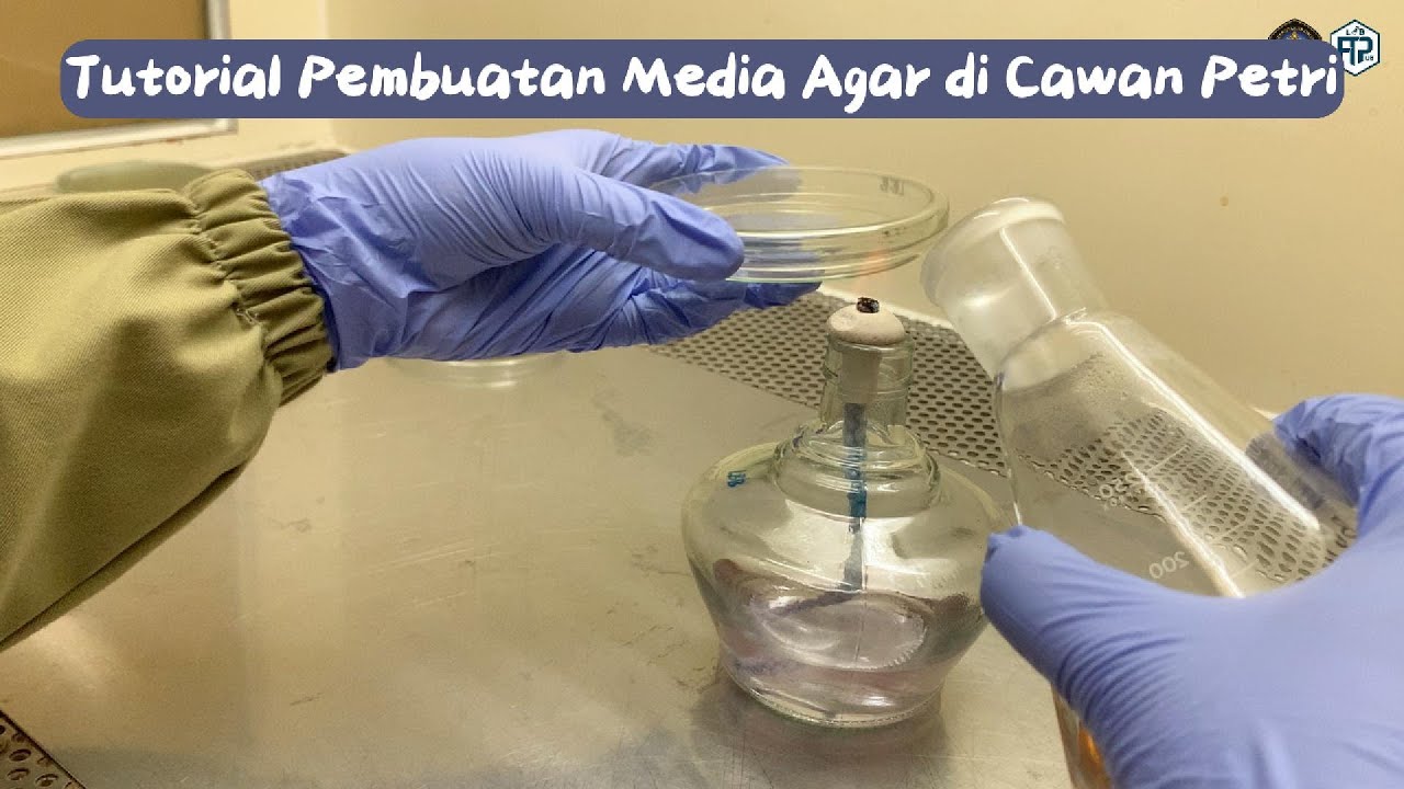 Tutorial Pembuatan Media Agar di Cawan Petri - Lab Pendidikan FTP UB