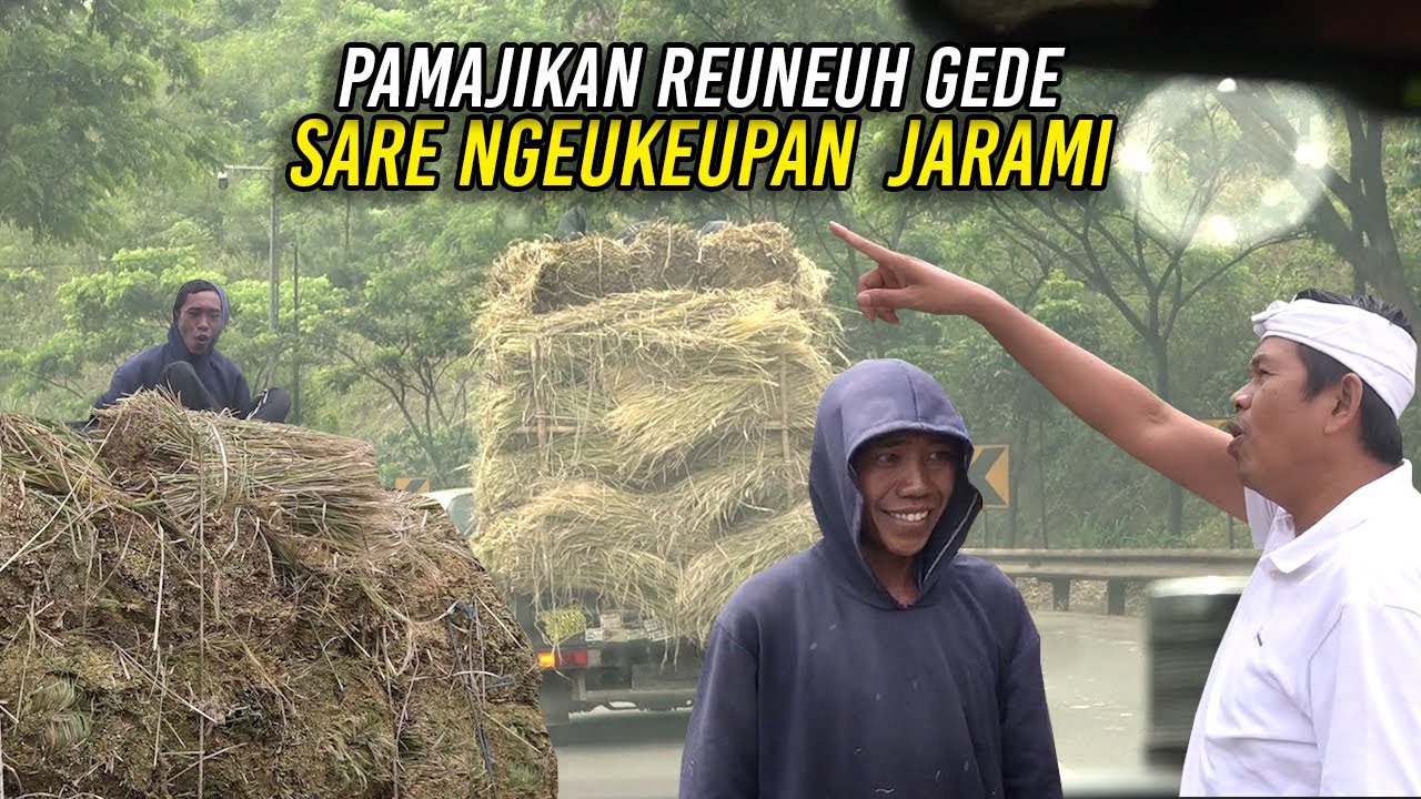 KANG DEDI HENTIKAN MOBIL PENGANGKUT JERAMI | DIATASNYA ORANG TERTIDUR LELAP