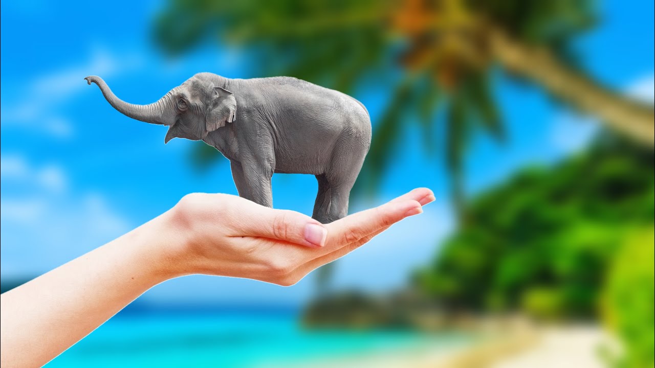 Superimpose on Android