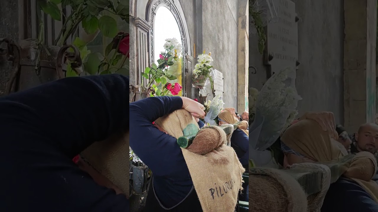 cereo pescivendoli 3 febbraio 2025#candelore #santagata