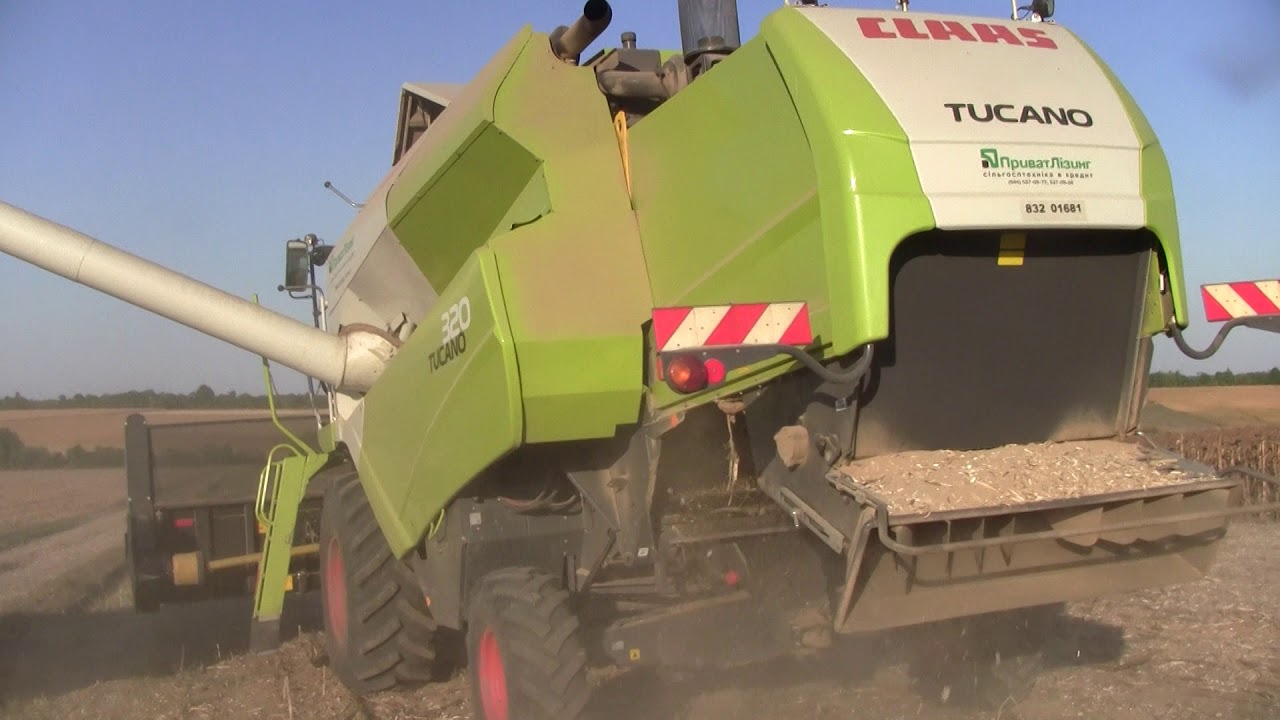 Уборка подсолнуха урожай 2019. CLAAS TUCANO 320. Жатка OROS SUN.
