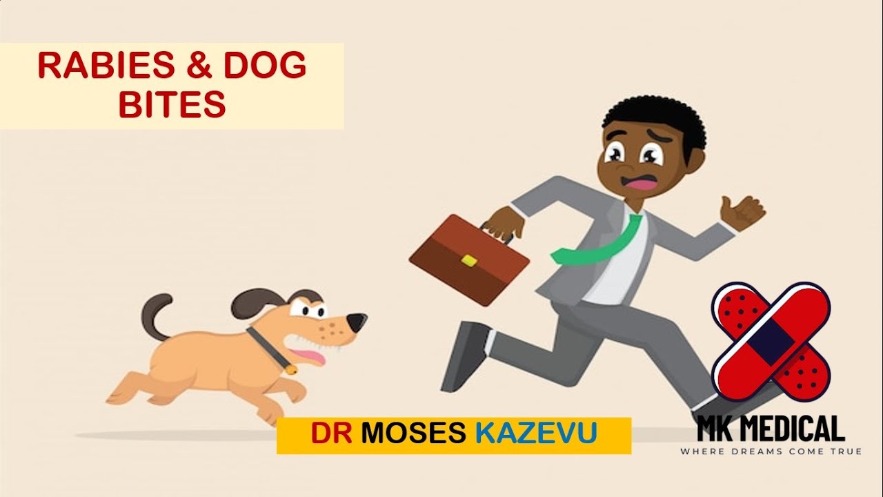 Dog bites & Rabies