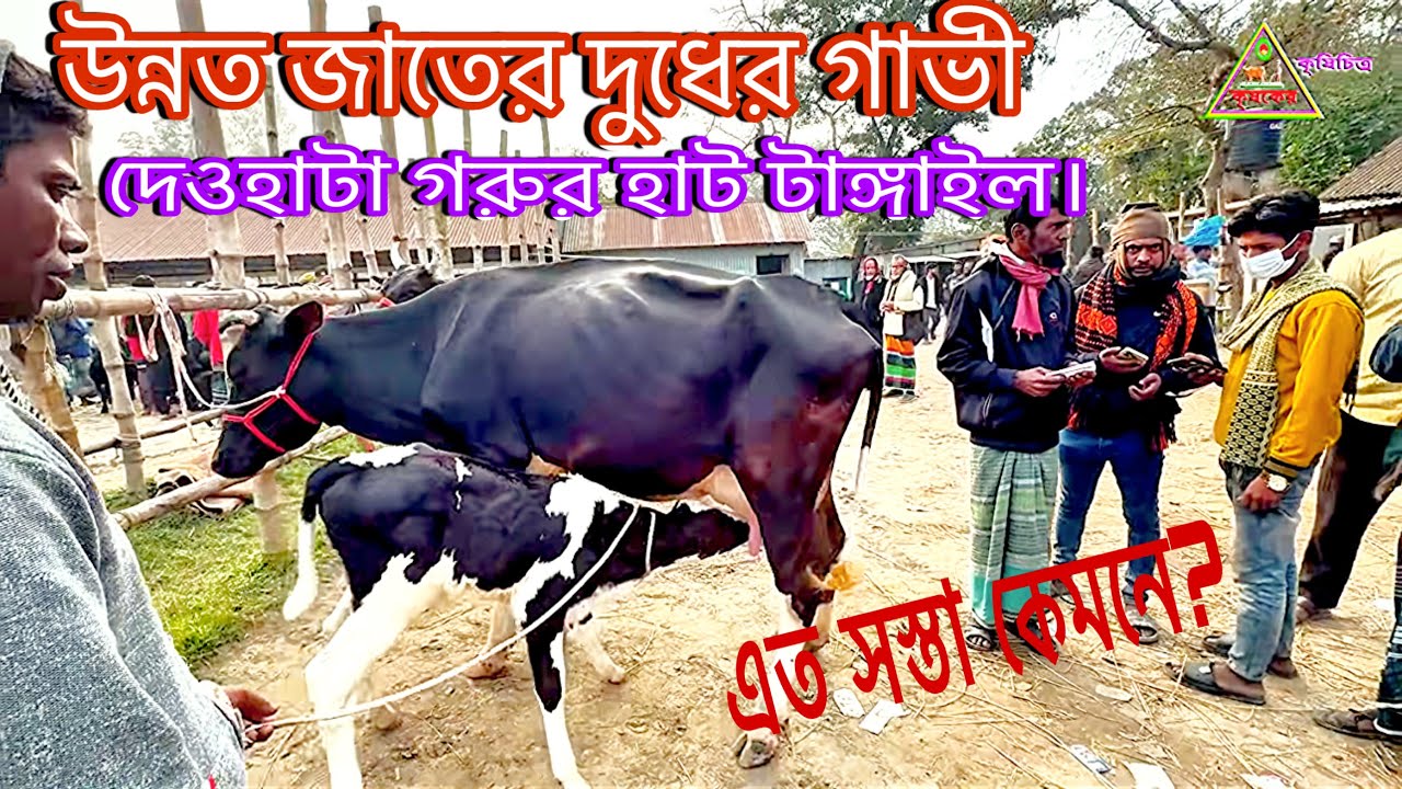 @আজ ১০/০২/২৬