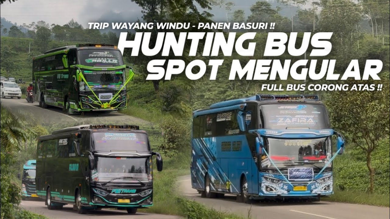 SPOT BARU, AUTO SERU ! PANEN BUS ARTIS DI SPOT MENGULAR😍Hunting Bus Arah Pulang Trip Wayang Windu