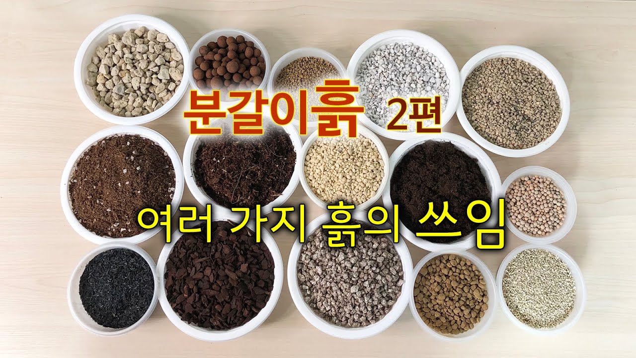 분갈이흙 2편) 여러 가지 용토의 쓰임