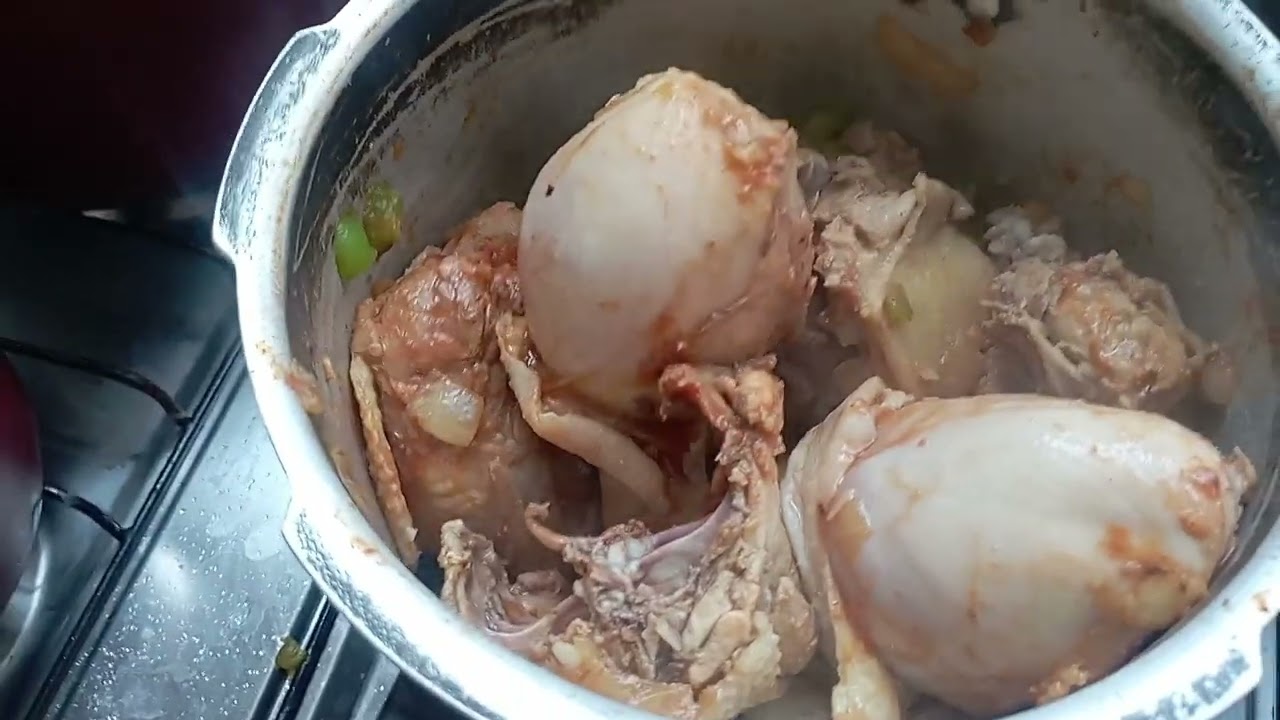 FIZ GALINHA E PIRÃO PELA PRIMEIRA VEZ! RECEITA DA JANA CRUZ VLOG