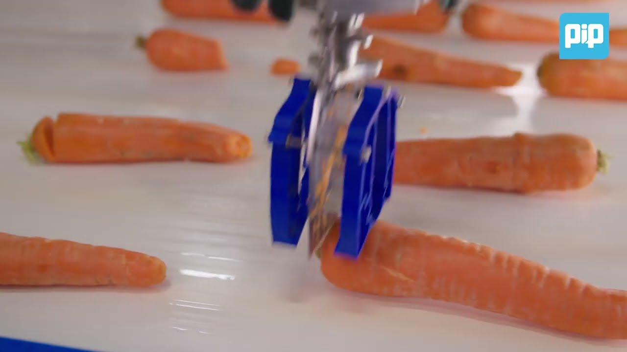 PIP Innovations robotic cutting solutions