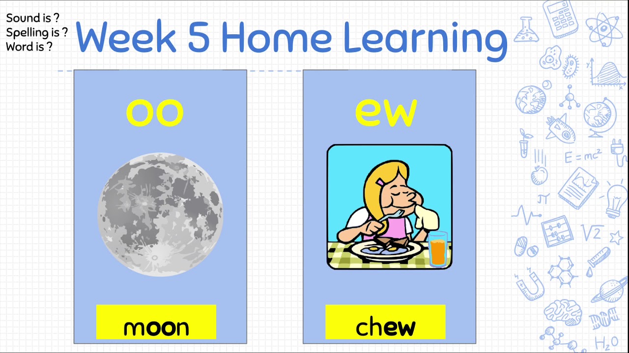 Week 5 Spelling Words (oo, ew, ue and ui)