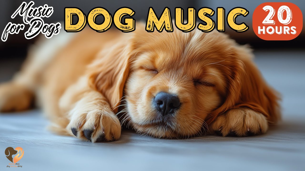 20 HOURS of Dog Calming Music🐶🎵Dog Separation Anxiety Music💖Perfect Dog Stability Music