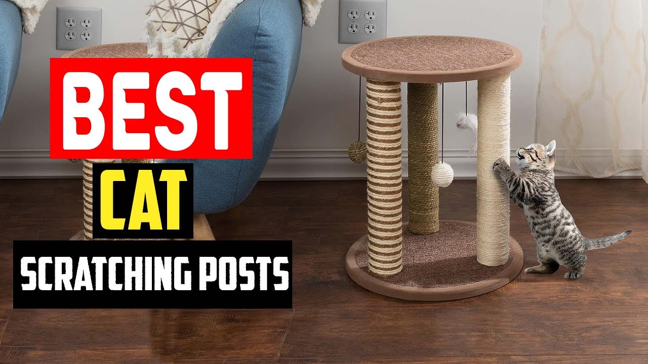 ✅Best Cat Scratching Posts in 2025
