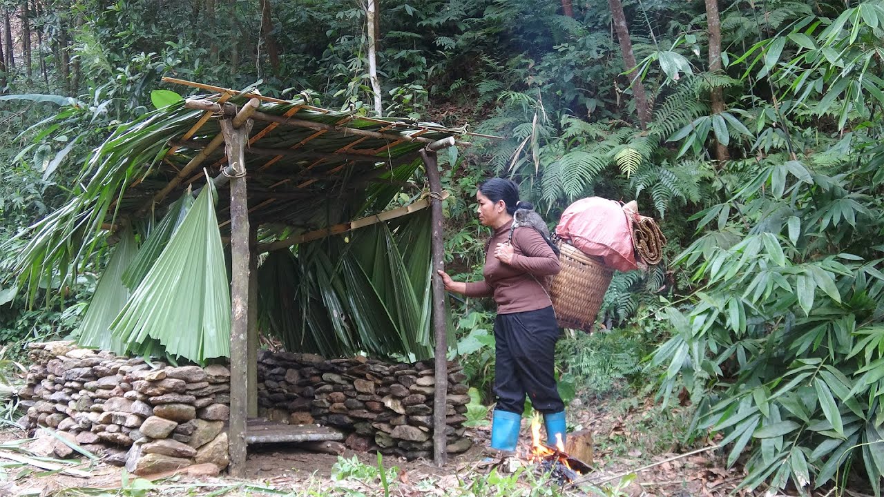 Survive alone in the rainforest, Homeless girl pick up stones to build makeshift shelter