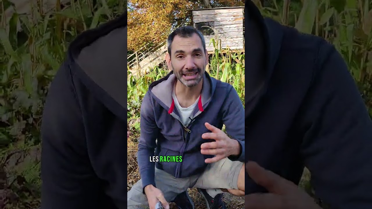 3 erreurs &agrave; ne pas faire au potager pendant l'hiver