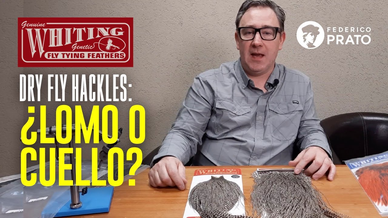Whiting Dry Fly Hackles: cuello o lomo?