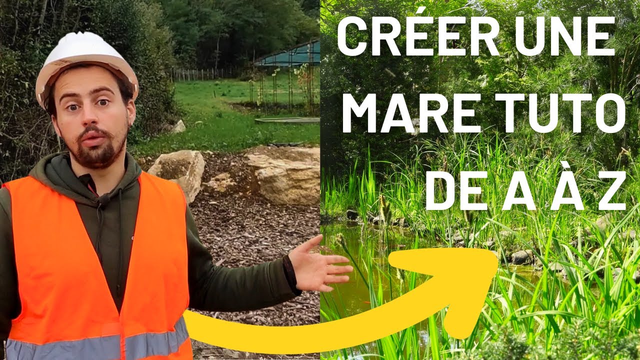 Créer une mare pour la biodiversité : guide complet avec une bâche