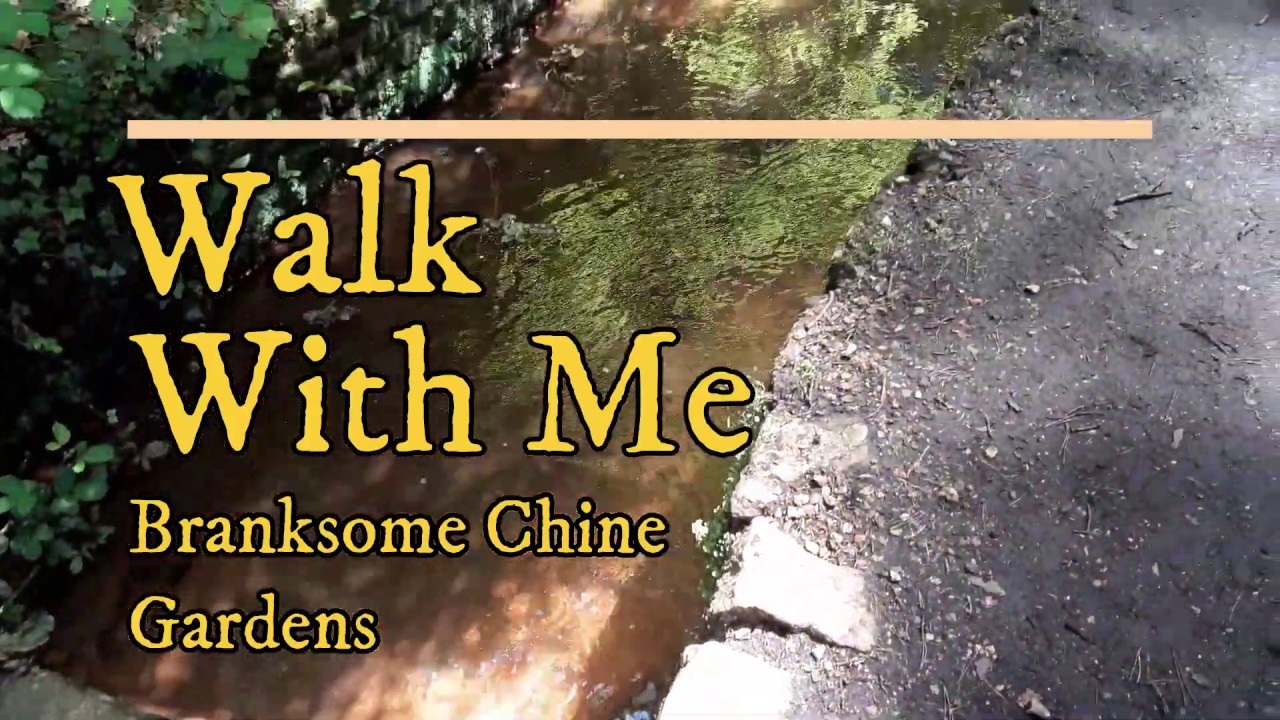 Life in Lockdown - Branksome Chine Gardens